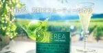 日版TEREA SHINE PEARL青提爆珠IQOS煙彈:圖片 3